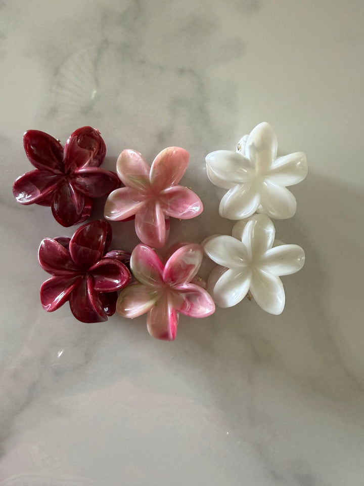 Pinzas Flor de Perla – Set de 6